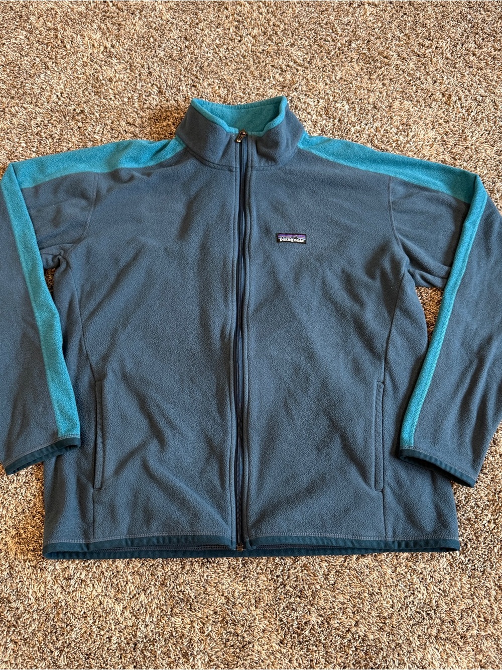 Patagonia Araveto Jacket Mens L Pocket Full Zip Hood Fleece Outdoors Hiking Blue